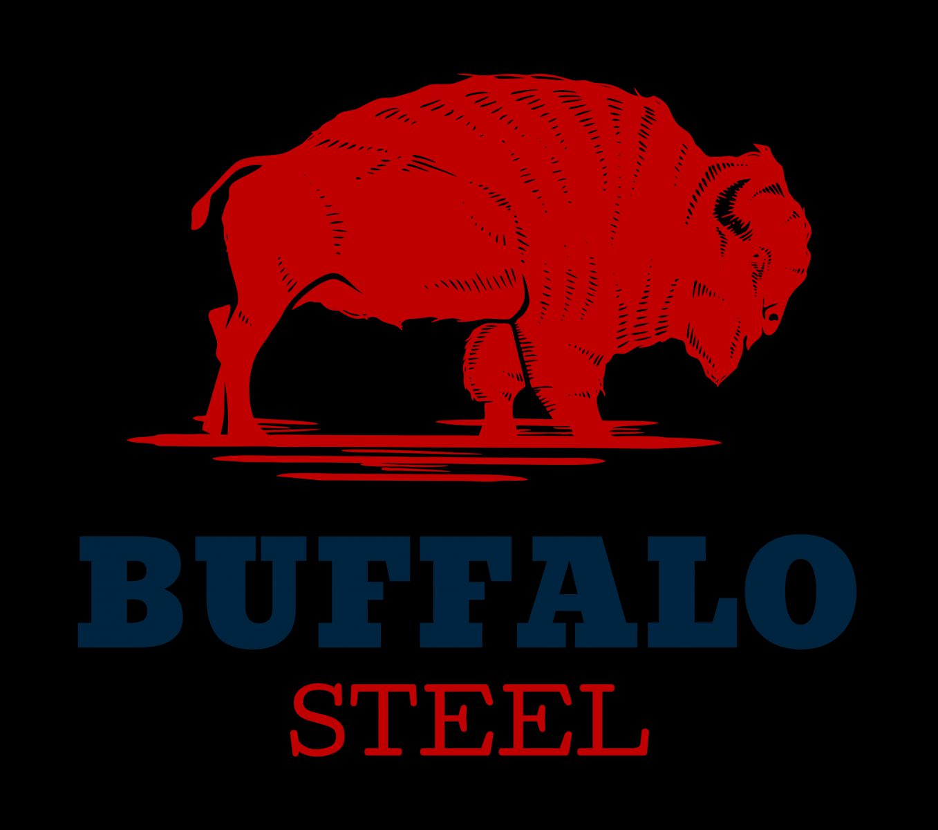 Buffalo Steel